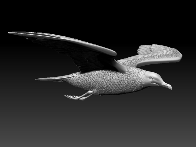 seagull 3D Print 510328