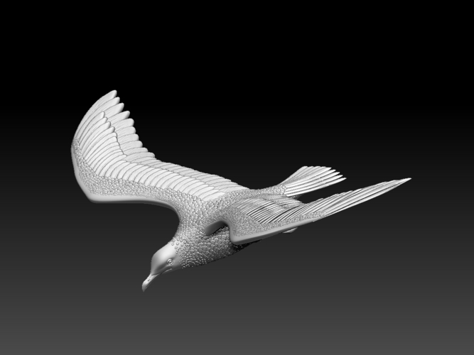 seagull 3D Print 510329