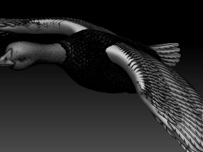 bird 3D Print 510331