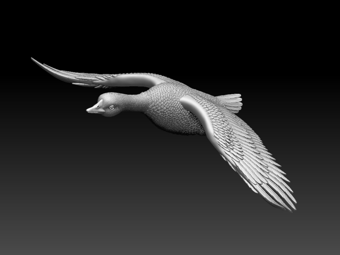 bird 3D Print 510332