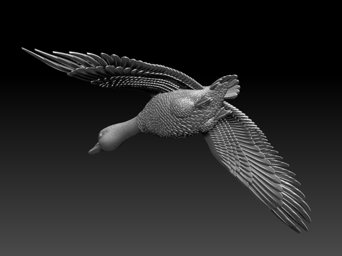 bird 3D Print 510333