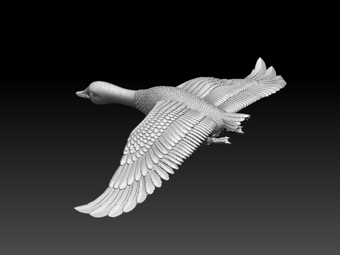 bird 3D Print 510334