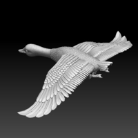 Small bird 3D Printing 510334