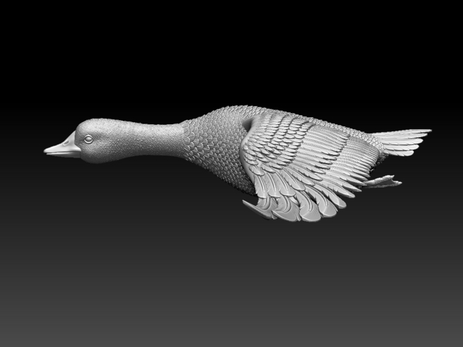 bird 3D Print 510335