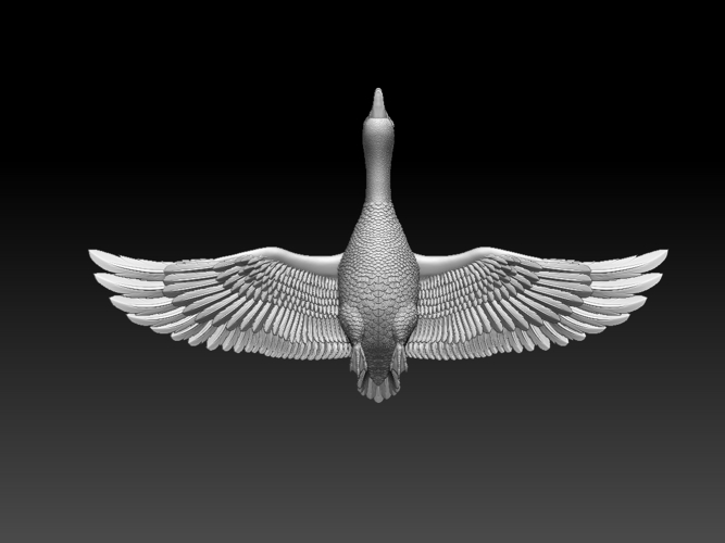 bird 3D Print 510336