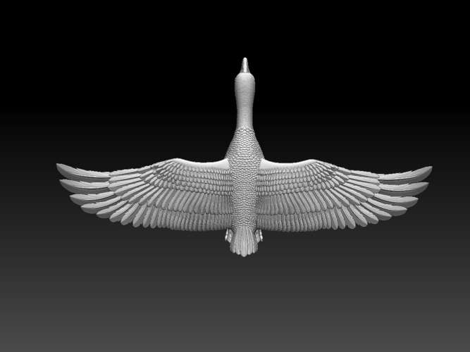 bird 3D Print 510337