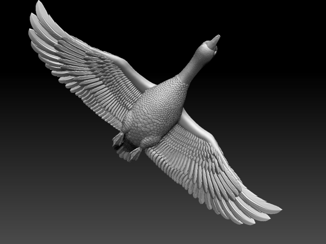 bird 3D Print 510339