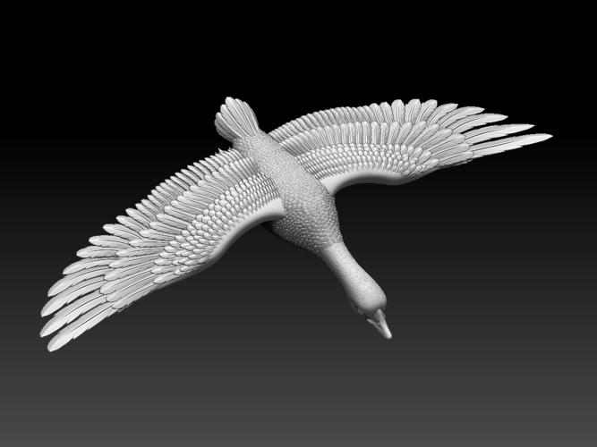 bird 3D Print 510340