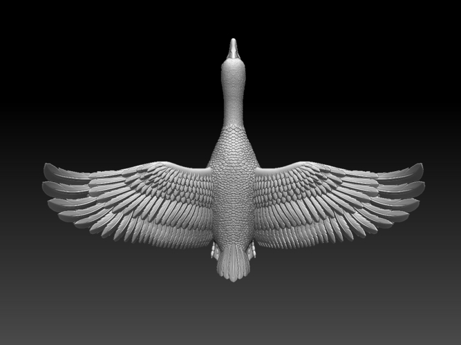 bird 3D Print 510342