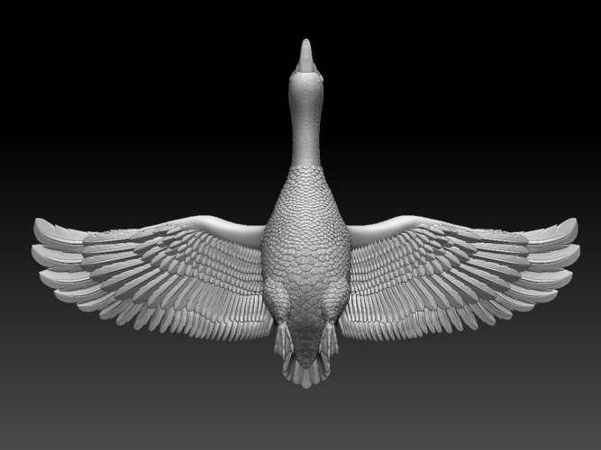 bird 3D Print 510343