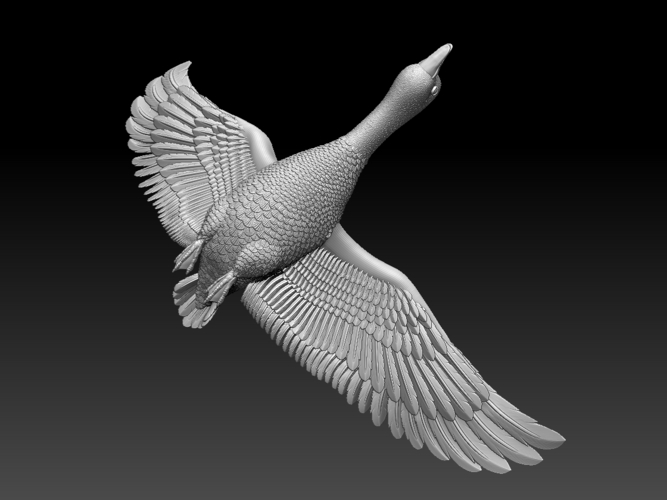 bird 3D Print 510344