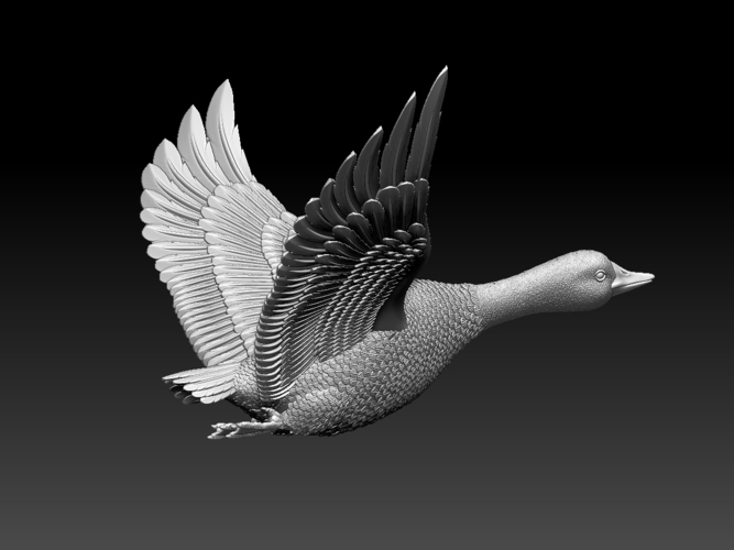 bird 3D Print 510345