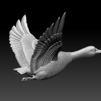 Small bird 3D Printing 510345