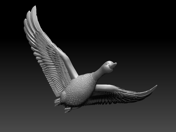 bird 3D Print 510346