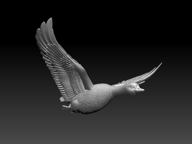 bird 3D Print 510347