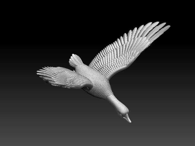 bird 3D Print 510348