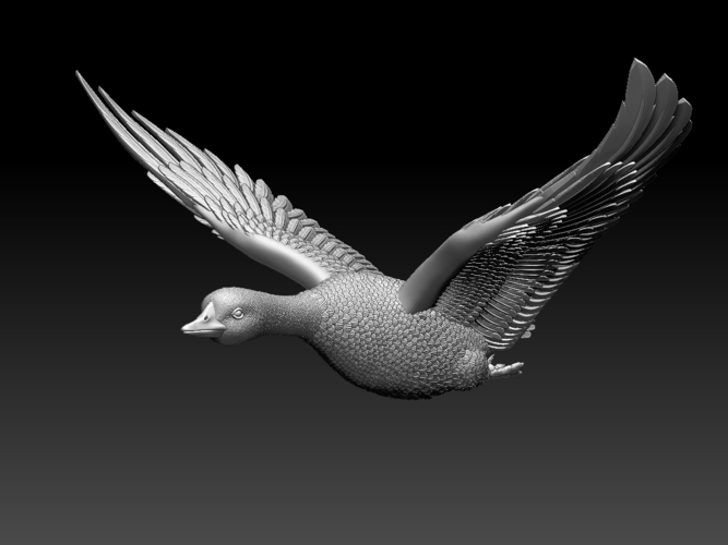 bird 3D Print 510350