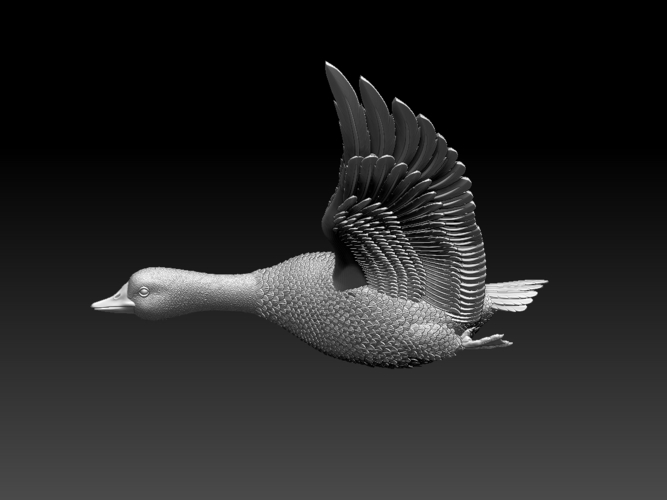 bird 3D Print 510351