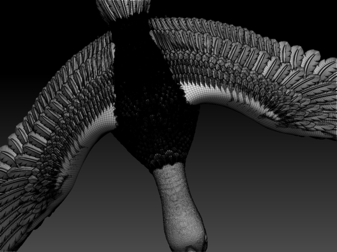 bird 3D Print 510352