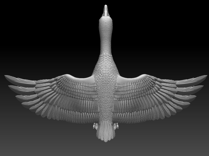 bird 3D Print 510353