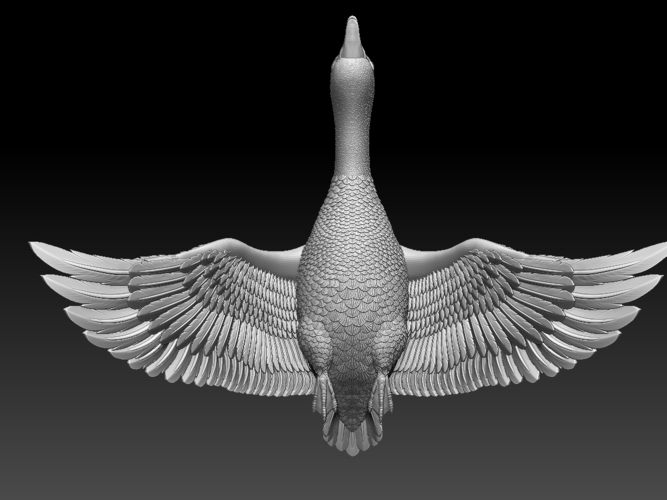 bird 3D Print 510354