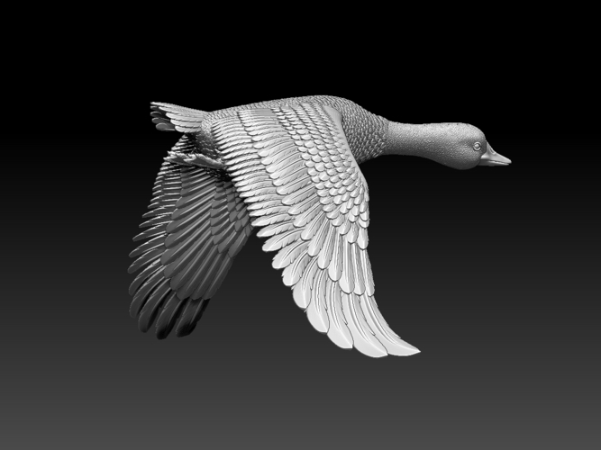 bird 3D Print 510356