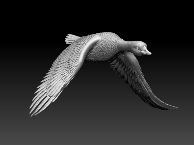 bird 3D Print 510357