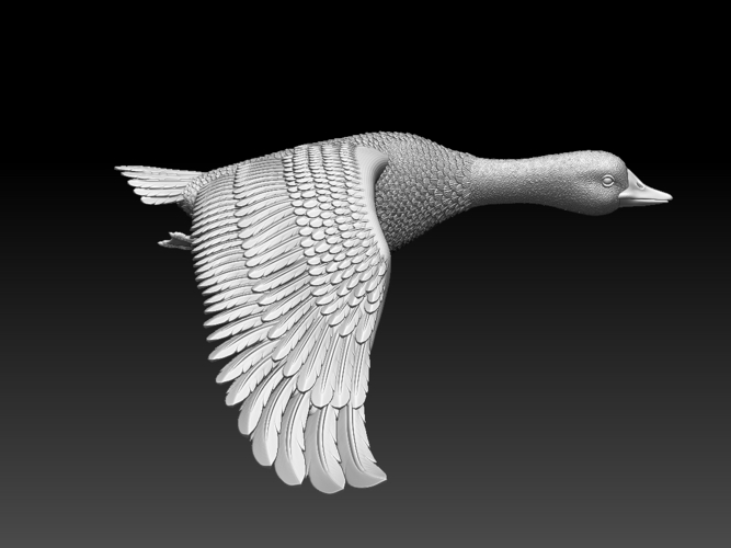 bird 3D Print 510358