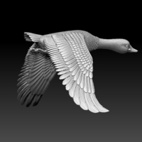 Small bird 3D Printing 510361