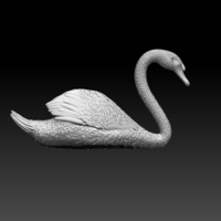 swan - Thumbnail 2