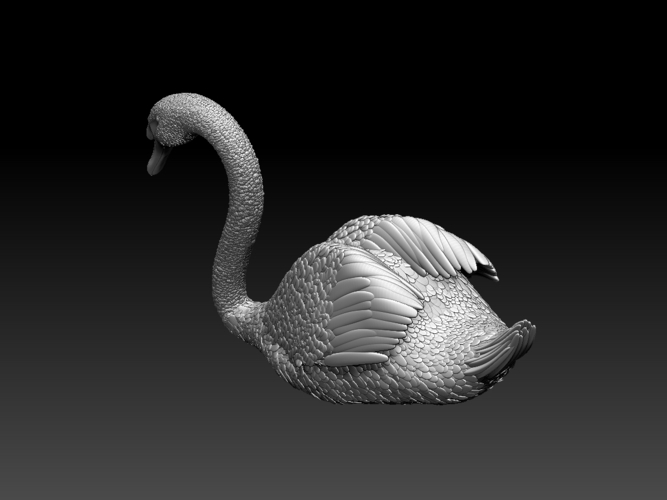 swan 3D Print 510375