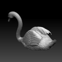 swan - Thumbnail 3