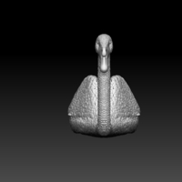 swan - Thumbnail 4