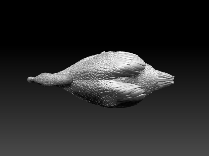 swan 3D Print 510377