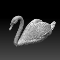 swan - Thumbnail 6