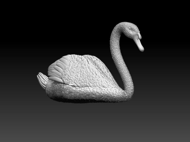 swan 3D Print 510381