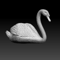 Small swan 3D Printing 510381