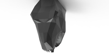 Image 510449