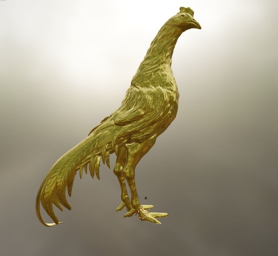 ROOSTER GALLO DE PELEA 3D Print 510552