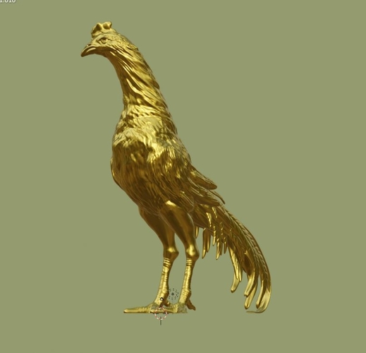 ROOSTER GALLO DE PELEA 3D Print 510554