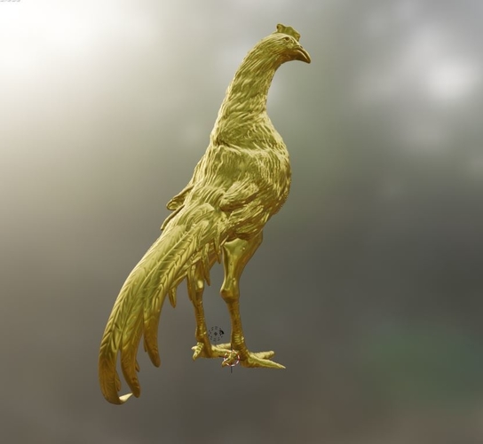 ROOSTER GALLO DE PELEA 3D Print 510558