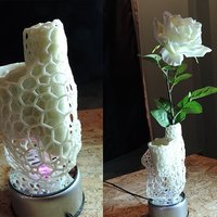 Small Voronoi Vase  3D Printing 51096