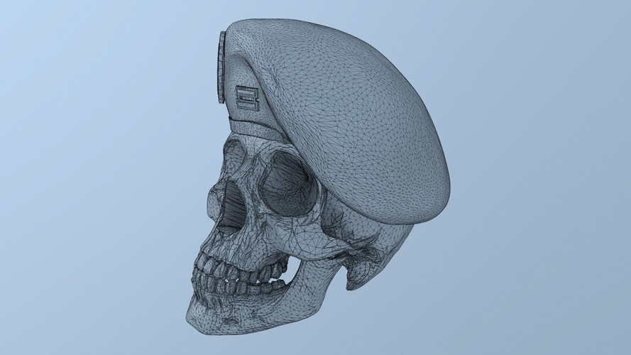 3D Printed Peruvian Army Beret Skull by generalista3d | Pinshape