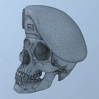 Peruvian Army Beret Skull  - Thumbnail 1
