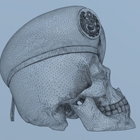 Peruvian Army Beret Skull  - Thumbnail 3