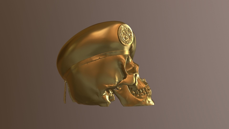 Peruvian Army Beret Skull  3D Print 511175