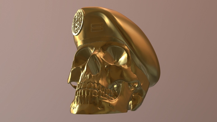 Peruvian Army Beret Skull  3D Print 511178