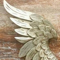 Heart Wings Jewel - Thumbnail 9