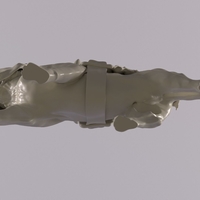 Battle Cat and Cringer 1982 - Thumbnail 10