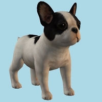 Small Dog - Thumbnail 2